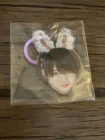 러브식 태양 메지루시 액세서리