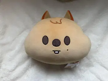 SKZOO 한쿼카 쿠션