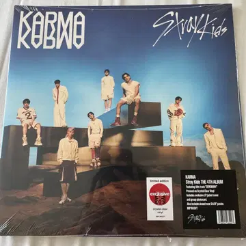 Stray Kids KARMA target 한정판 레코드 타겟 vinyl