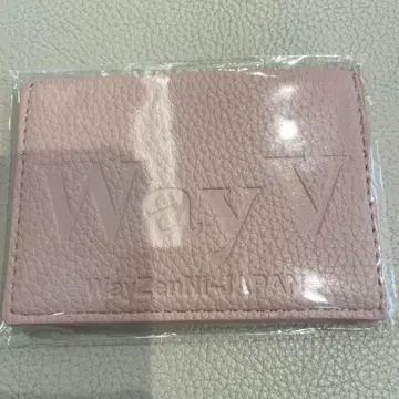 WayV 웨이션V 패스 케이스 카드 케이스 SM 30주년 레어 한정판