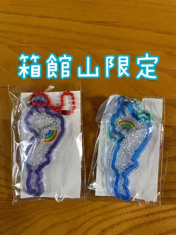 미사용 새상품 2개 세트 하코다테야마 한정 비와코 아크릴 키링 인기