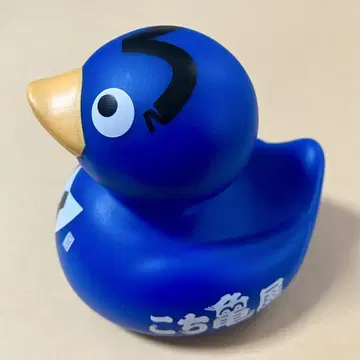 코치카메 전시회 버스덕 목욕 오리