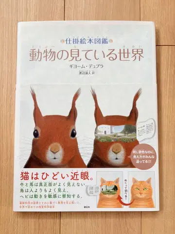 동물이 보는 세계 기욤 뒤프라