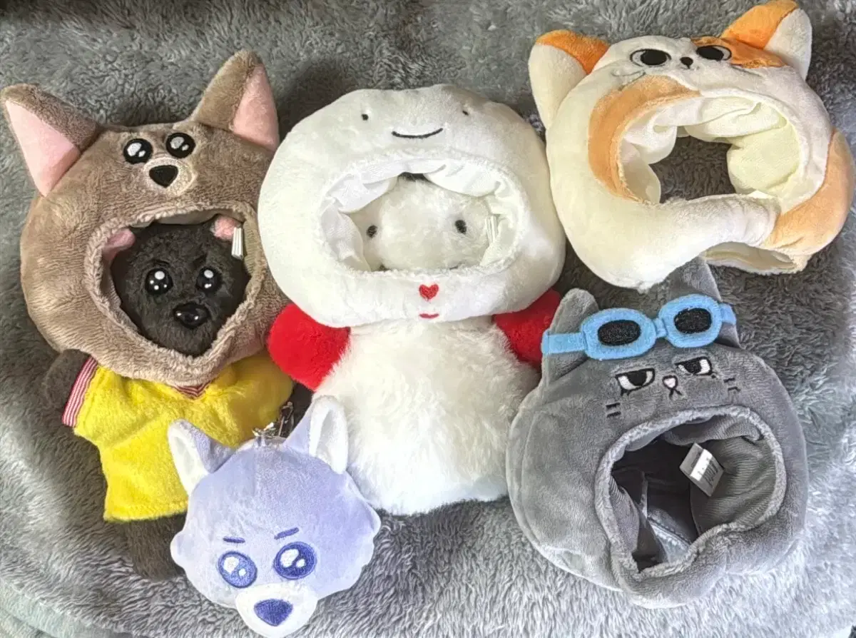 Boynextdoor boynextdoor ppyuneckdo wts sell taetpungyi woonhak myeongmyeongyi catppi keyring