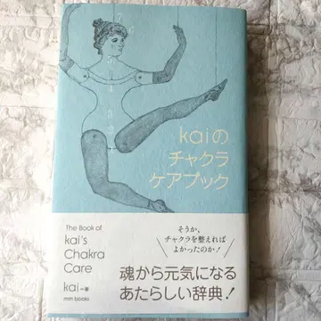 kai의 차크라 케어북