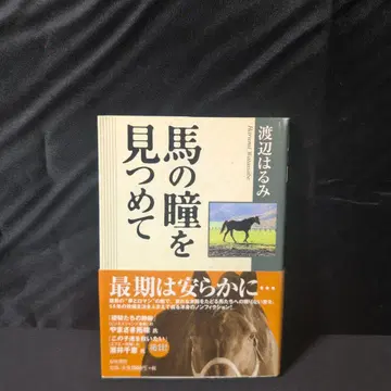 말의 눈동자를 바라보며