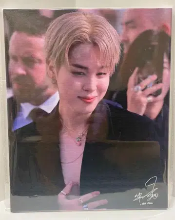 BTS 지민 캔버스 패널