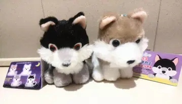 복슬복슬 늑대 미스터리 봉제 인형 2세트