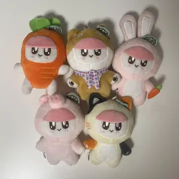 SEVENTEEN 봉봉이 봉제 인형 5개 세트