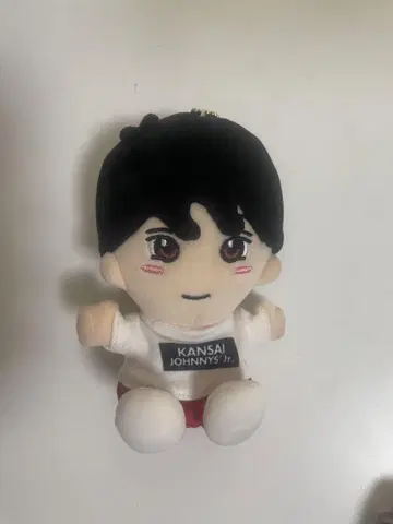 스에자와 세이야 꼬마 인형