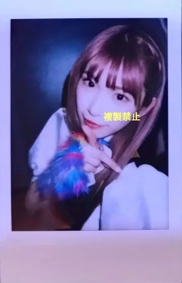 마메시바노타이군 레오나엠파이어 폴라로이드