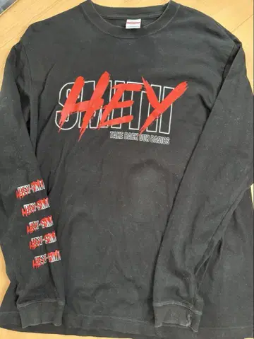 HEY-SMITH 투어 롱 T셔츠 L 사이즈