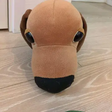 THE DOG