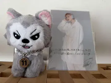 초특급 슈야 생일 슈가르 마스코트 엽서 포함
