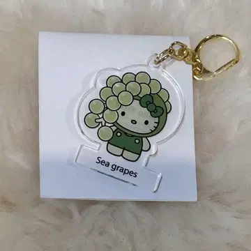 즉시 구매 가능 해초 키티 해포도 아크릴 키링