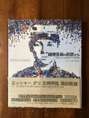 착시 예술의 거장들 세계의 다마시 그림 작가 20명의 걸작집
