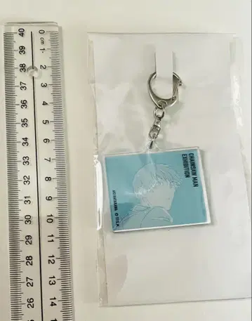 체인소 맨 아크릴 키링 하야카와 아키