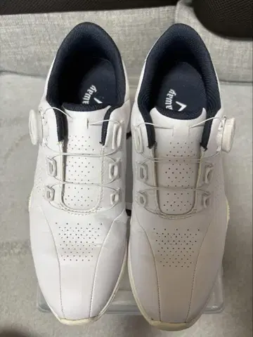 callaway 여성용 골프화