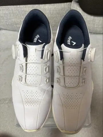 callaway 여성용 골프화