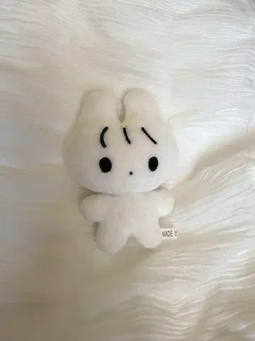 더보이즈 THEBOYZ 뉴 10cm 봉제 인형 차니냥