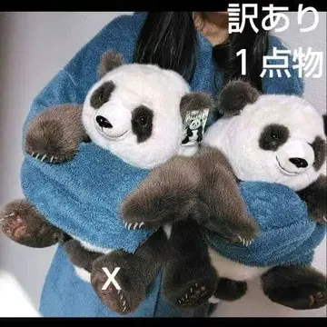 브라운 팬더 봉제 인형 치자이 팬더 1개