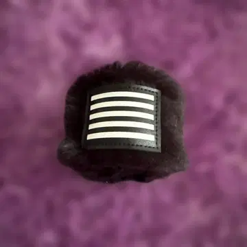 BIGBANG 블랙 퍼 블레스