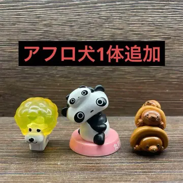 아프로견 타레판다 초코로네두더지