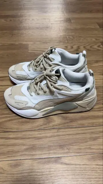 PUMA RS-X EFECT GRADIENT 26cm