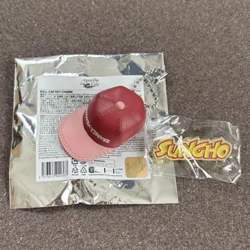 BOYNEXTDOOR SUNGHO 핑 배지 키 참