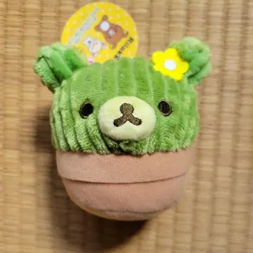 리락쿠마 선인장 코스튬 봉제 인형