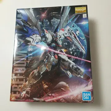 MG 1/100 프리덤 건담 Ver.2.0