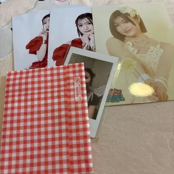 이기가리 도호쿠산 안토 하네카 생사진 폴라로이드