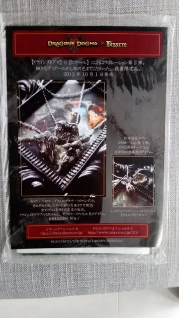 DRAGON'S DOGMA 드래곤즈 도그마 전단지 2012 BERSERK