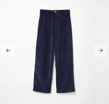 SHISHIKUI Painter C / CORDUROY NAVY