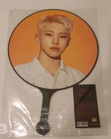 SEVENTEEN BE THE SUN 호시 부채
