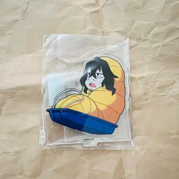 아이자와 눈 축제