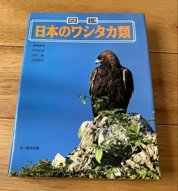 도감 일본의 독수리류