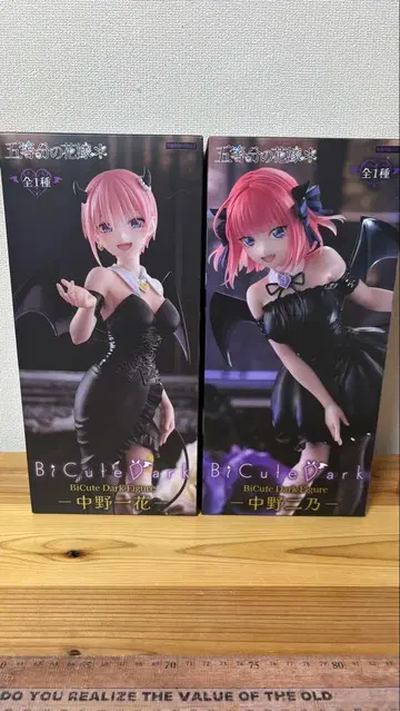 BiCute Dark 나카노 이치카 나카노 니노 세트 1