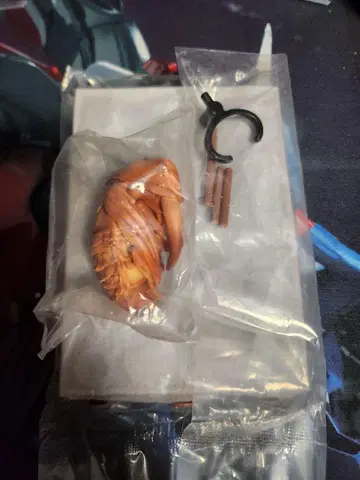 생물대도감 오오쿠와가타 번데기 + 덤 온라인 한정판 번데기 받침대 포함