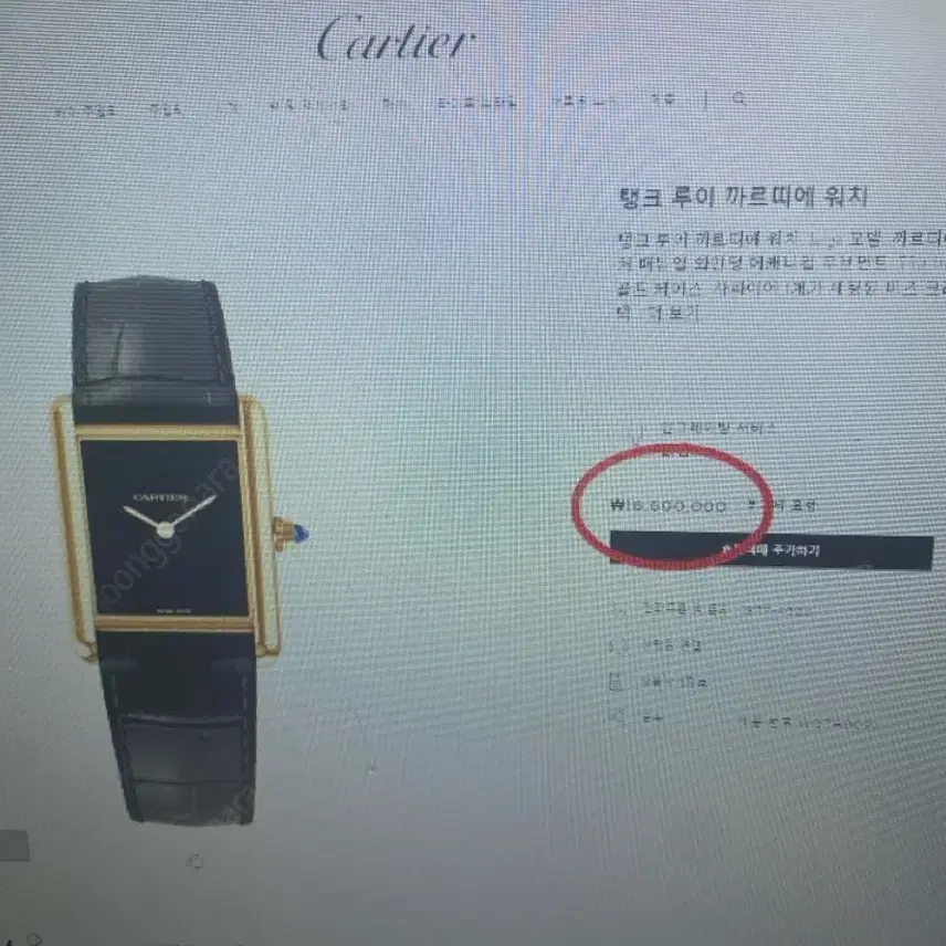 까르띠에 머스트탱크 lm 블랙 오닉스 사진 6