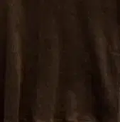 브라운 NK5님