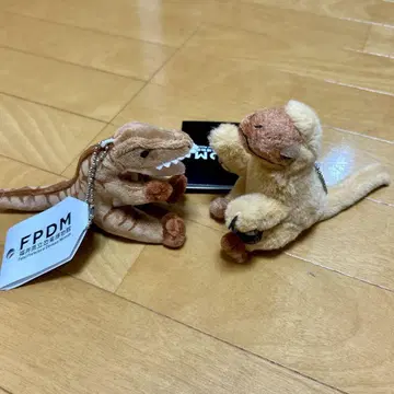 후쿠이현립 공룡 박물관 한정품 후쿠이베나토르 후쿠이라프토르 세트
