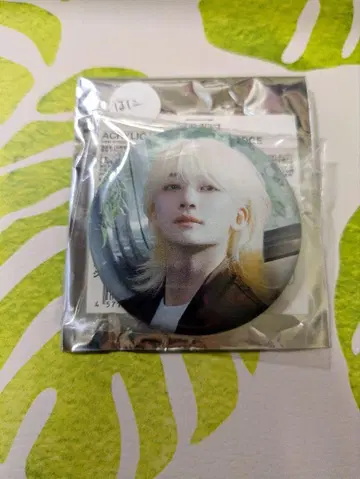 SEVENTEEN 정한 캔뱃지 3