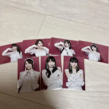 사카미치 시리즈 8장 세트 사진