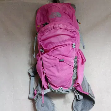 THE NORTH FACE 핑크 백팩 여성용