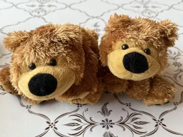 브라운색 곰 봉제 인형 2개 세트 (Teddy bear)