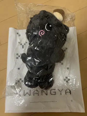 NCTWISH 리쿠 캐릭터 백 새상품 미사용