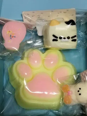 해외 스퀴즈 고양이 세트 발바닥