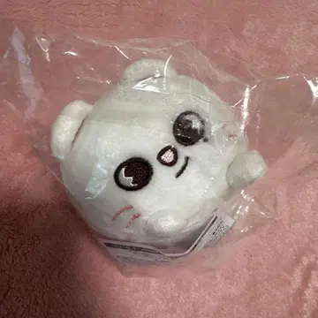 SKZOO 타와라누이 지니레트 현진 봉제 인형 미니 백참
