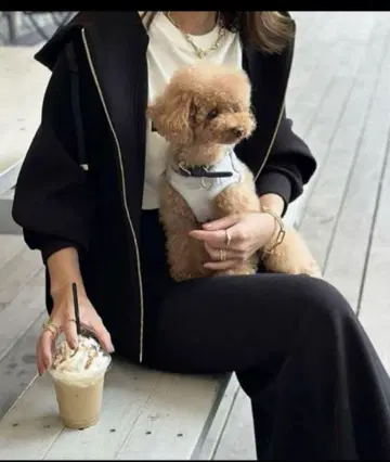 Emma taylor 에마테일러 종이상자 집업 후드티 블랙